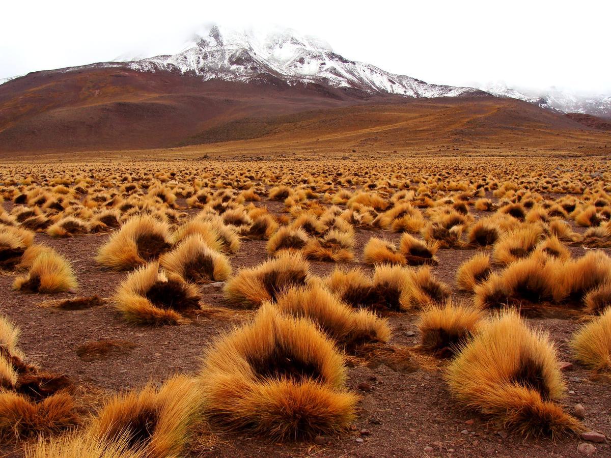 Copiapó Hotel Maray מראה חיצוני תמונה